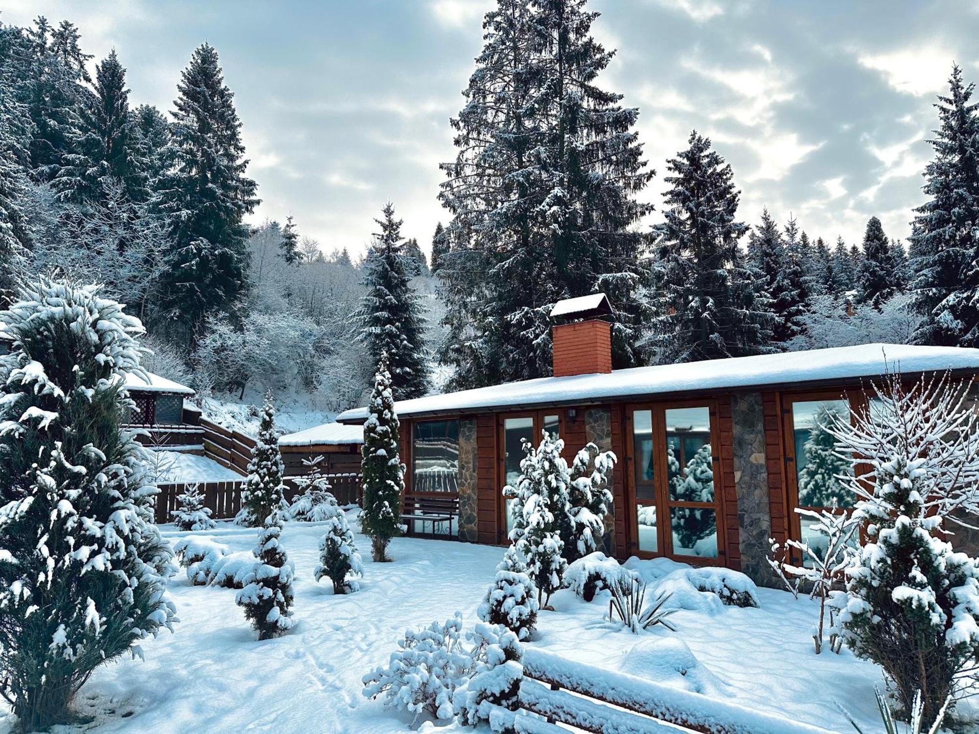 Chalet Filvarok Slavske Εξωτερικό φωτογραφία