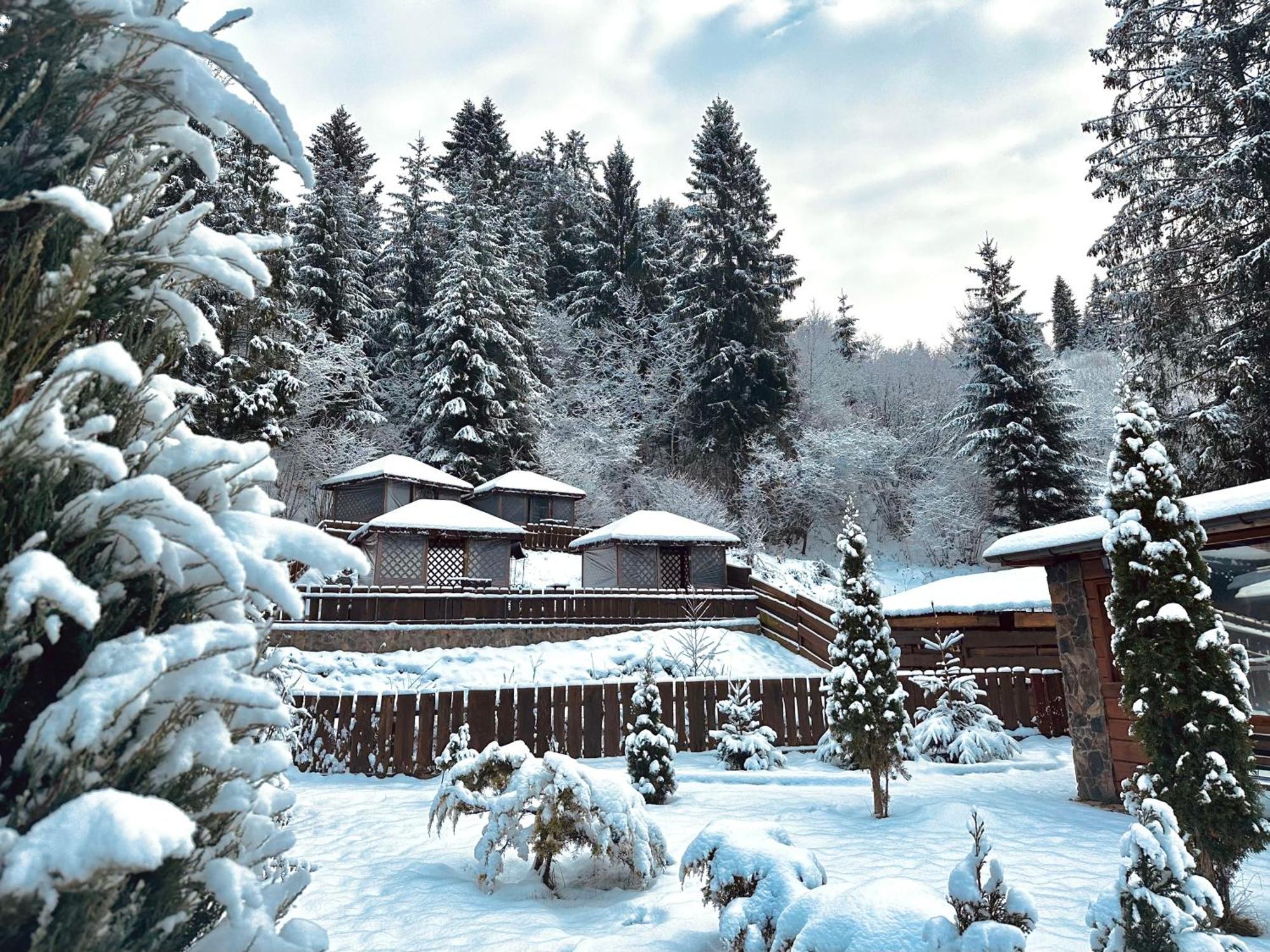 Chalet Filvarok Slavske Εξωτερικό φωτογραφία
